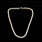 991 7384 PEARL NECKLACE